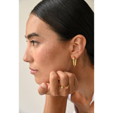 Rainbow Frosted Drip Earring
